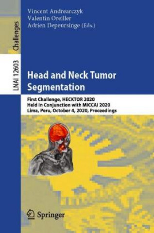 Buch Head and Neck Tumor Segmentation Adrien Depeursinge