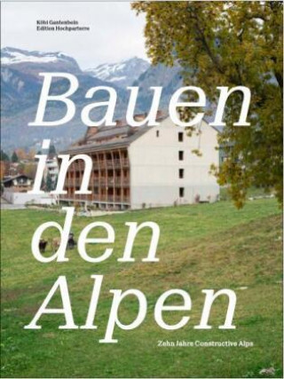 Kniha Bauen in den Alpen Gion Caminada