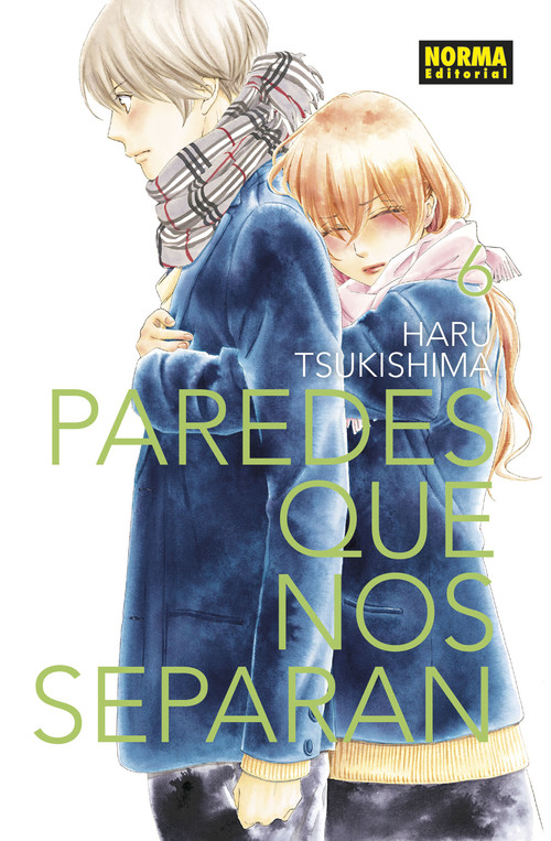 Buch Paredes que nos separan 06 HARU TSUKISHIMA