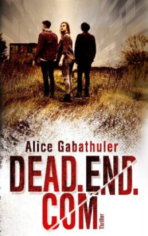 Knjiga dead.end.com Alice Gabathuler