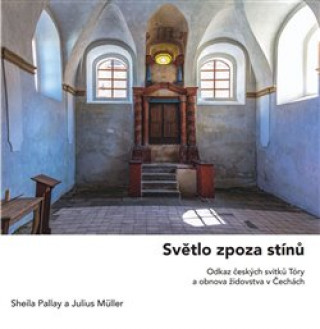 Kniha Světlo zpoza stínů Julius Müller