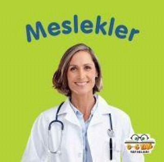 Książka Meslekler 