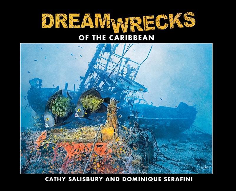 Carte DreamWrecks of the Caribbean Dominique Serafini