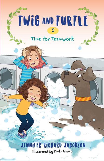 Book Twig and Turtle 5: Time for Teamwork Jennifer Richard Jacobson