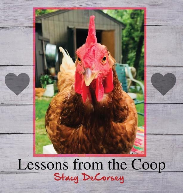 Knjiga Lessons from the Coop Stacy Decorsey