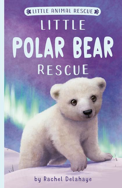Kniha Little Polar Bear Rescue Suzie Mason