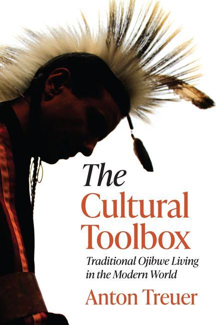 Kniha The Cultural Toolbox: Traditional Ojibwe Living in the Modern World 