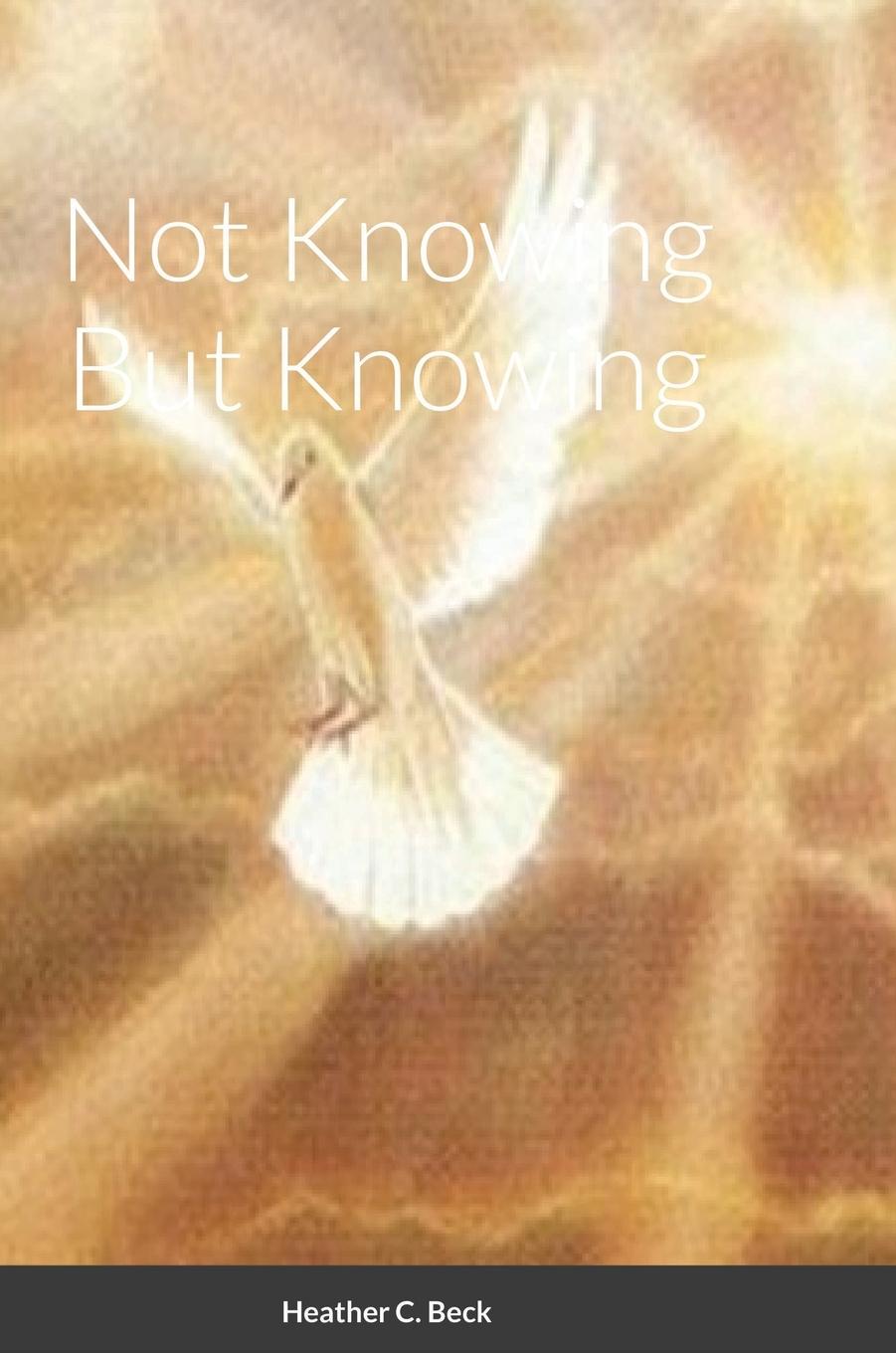 Book Not Knowing But Knowing Heather Beck