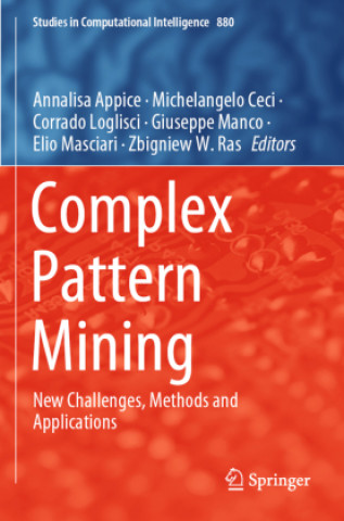Knjiga Complex Pattern Mining Michelangelo Ceci