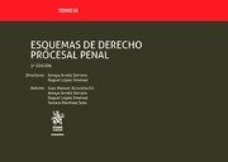 Könyv ESQUEMAS DE DERECHO PROCESAL PENAL JUAN MANUEL ALCOCEBA