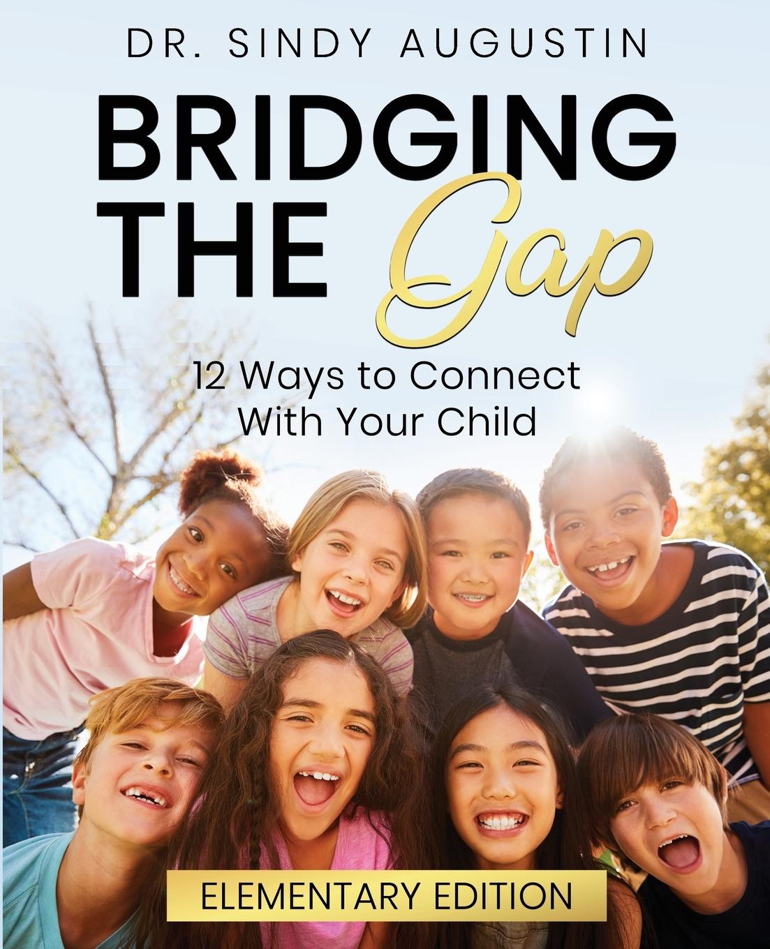 Knjiga Bridging the Gap Sindy Augustin