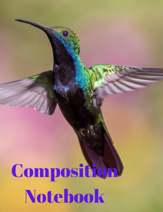 Knjiga Composition Notebook 