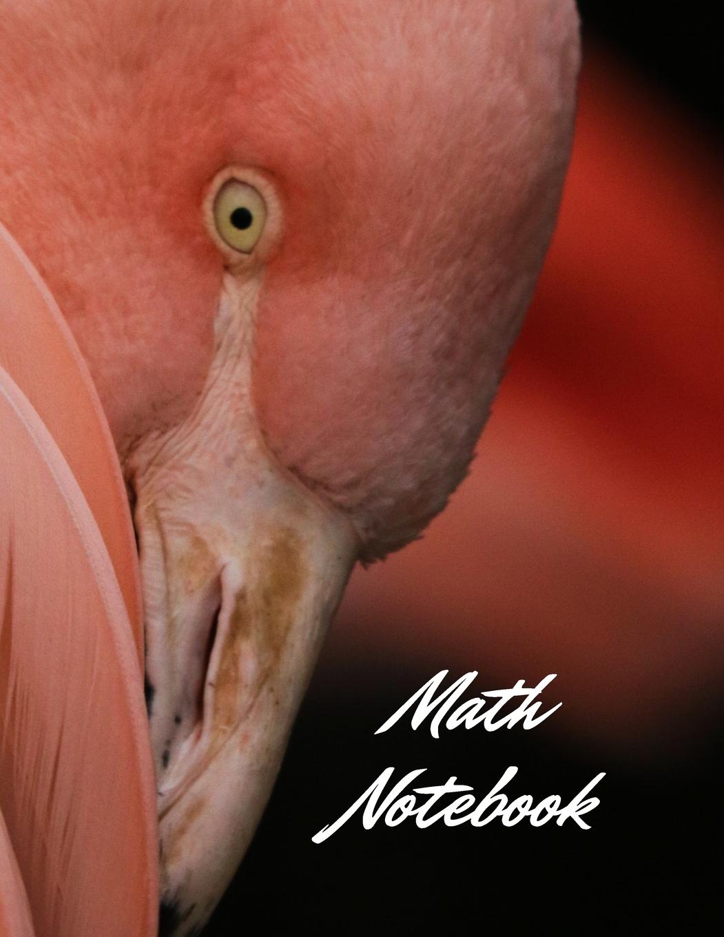 Könyv Math Notebook 