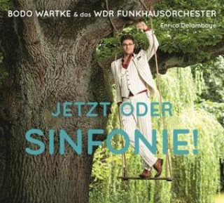Audio Jetzt oder Sinfonie ! Bodo Wartke
