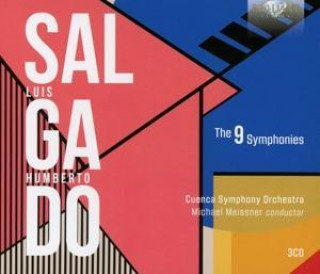 Аудио Salgado:The 9 Sinfonien 