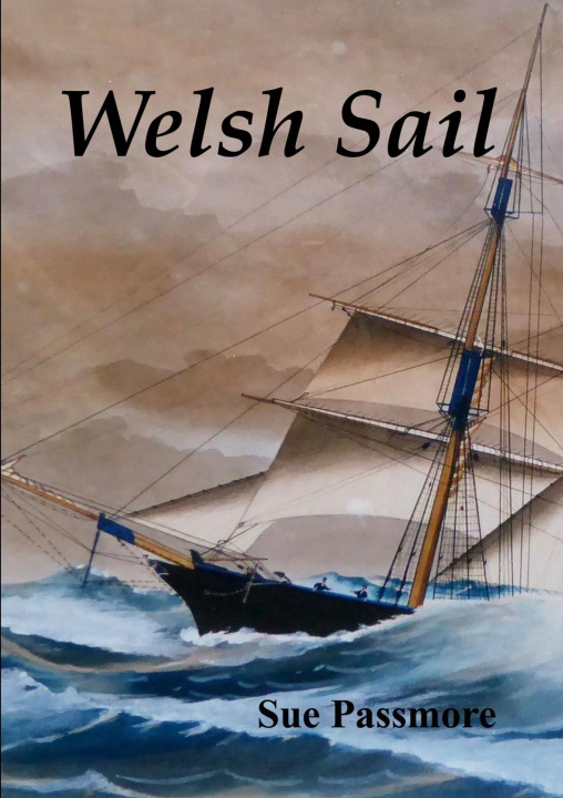 Knjiga Welsh Sail Sue Passmore