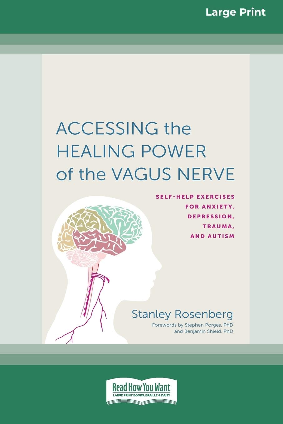 Książka Accessing the Healing Power of the Vagus Nerve 