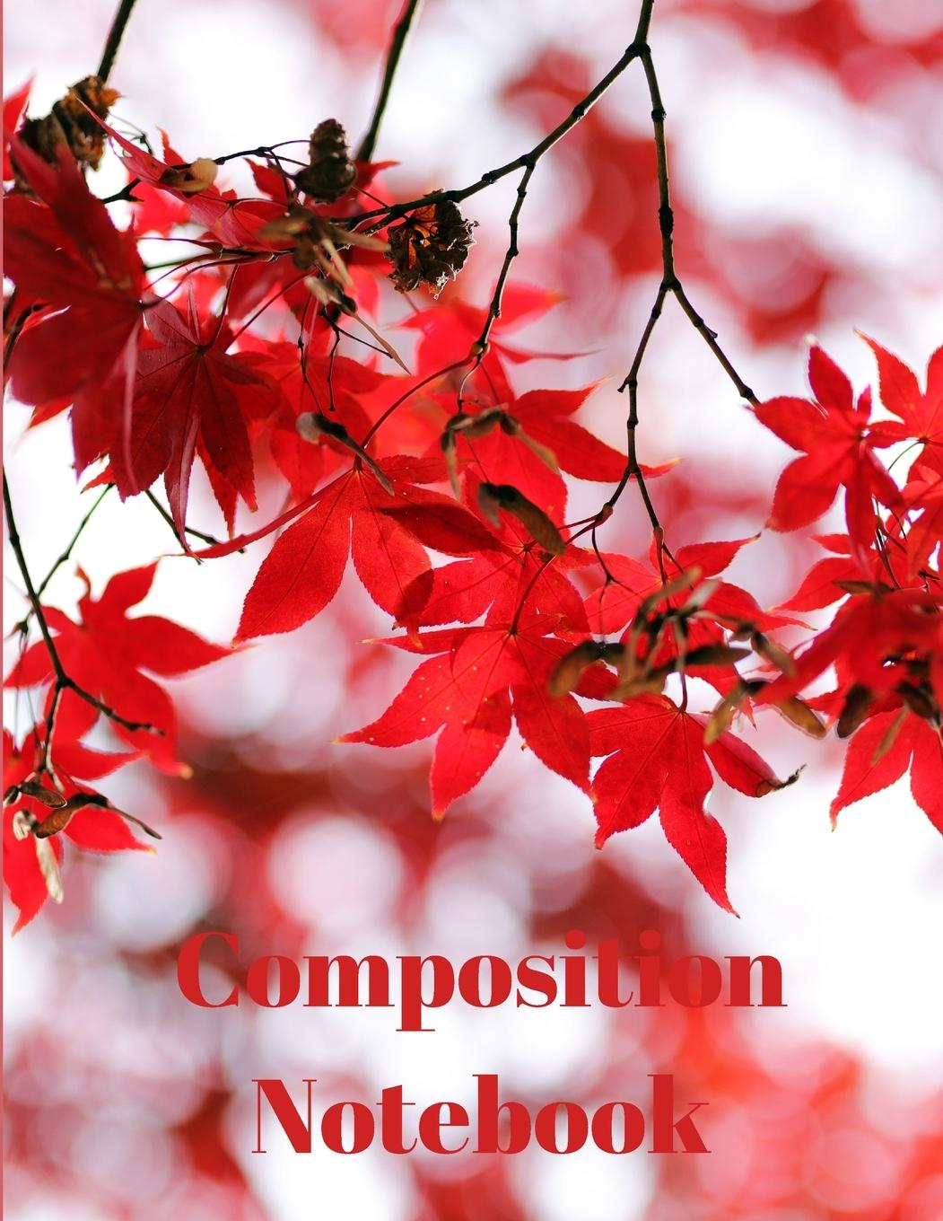 Knjiga Composition Notebook 