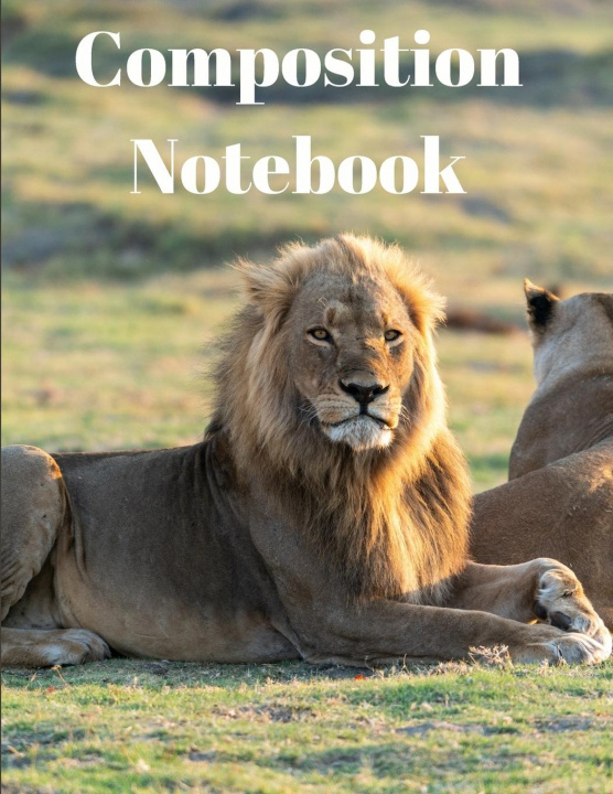 Knjiga Composition Notebook 