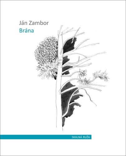 Könyv Brána Ján Zambor