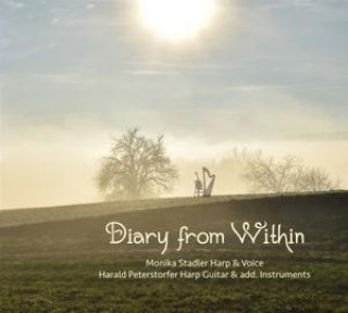 Zvok Diary From Within 