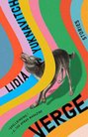 Book Verge Yuknavitch