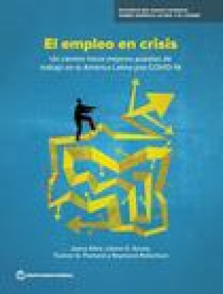 Boek Employment in Crisis (Spanish Edition) SILVA  SOUSA  PACKAR