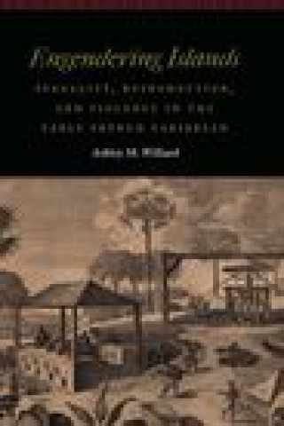 Kniha Engendering Islands Ashley M Williard