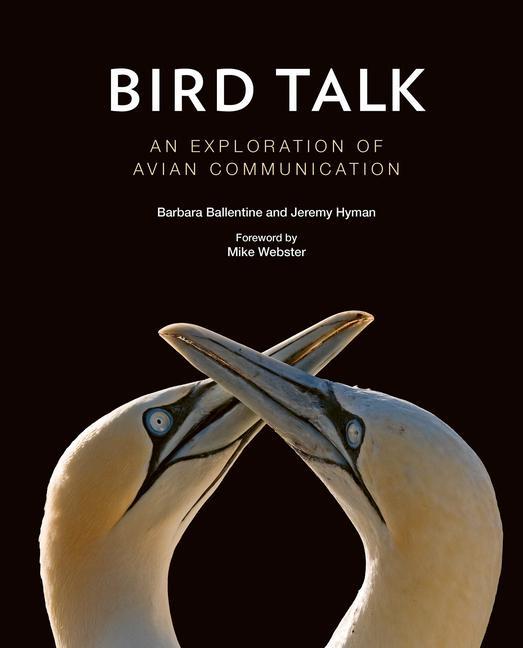 Kniha Bird Talk Barbara Ballentine