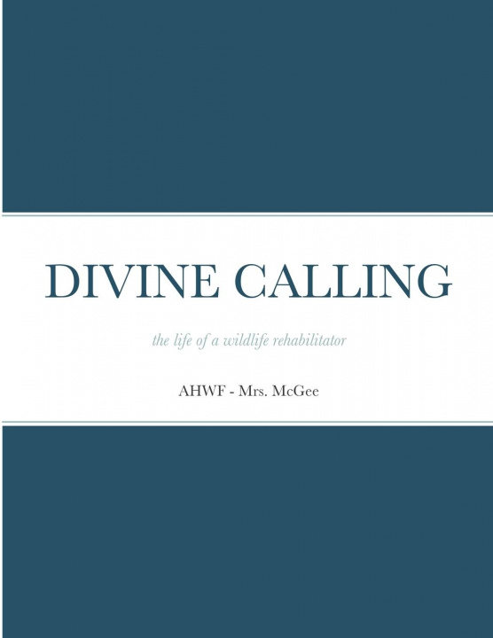 Book Divine Calling McGee