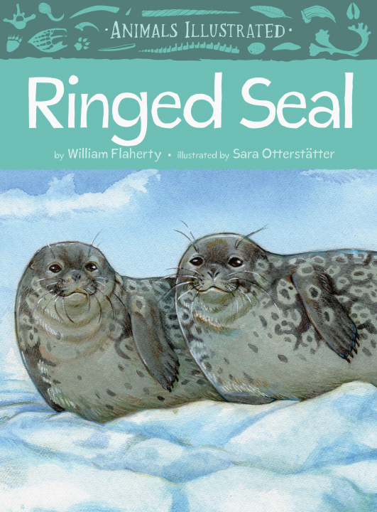Buch Animals Illustrated: Ringed Seal Sara Otterstatter