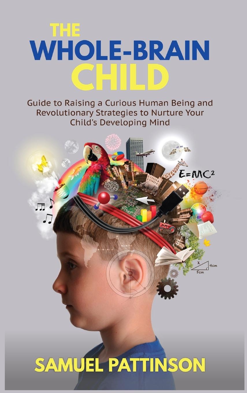 Kniha Whole Brain Child 