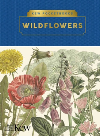 Kniha Kew Pocketbooks: Wildflowers ROYAL BOTANIC GARDEN