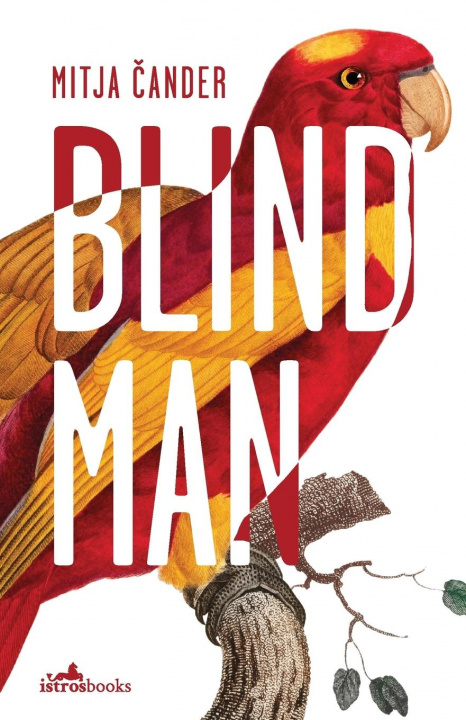 Knjiga Blind Man Mitja Cander