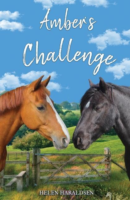 Kniha Amber's Challenge 