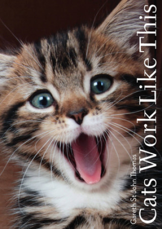 Knjiga Cats Work Like This DAVID ST JOHN THOMAS