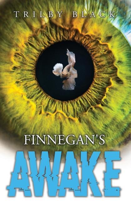 Carte Finnegan's Awake 