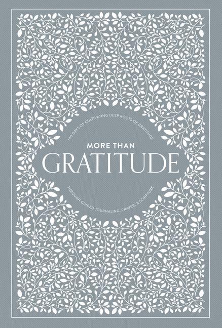 Kniha More than Gratitude Paige Tate & Co