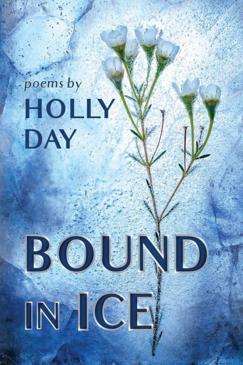 Knjiga Bound in Ice Holly Day