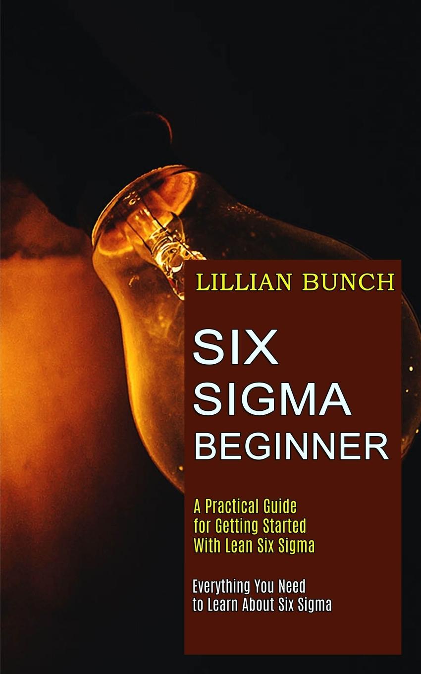 Książka Six Sigma Beginner 