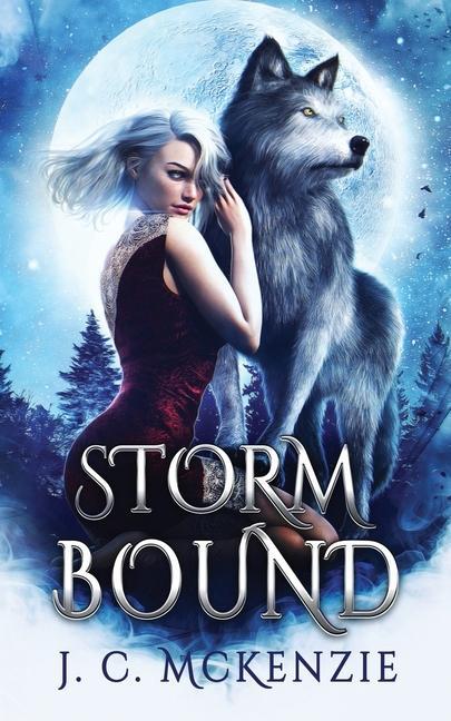 Knjiga Stormbound J. C. McKenzie