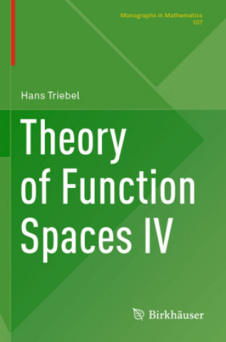 Knjiga Theory of Function Spaces IV Hans Triebel