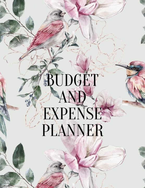 Kniha Budget and expense planner 