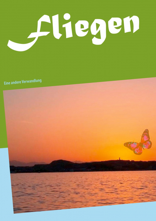 Knjiga Fliegen Thorsten Lux