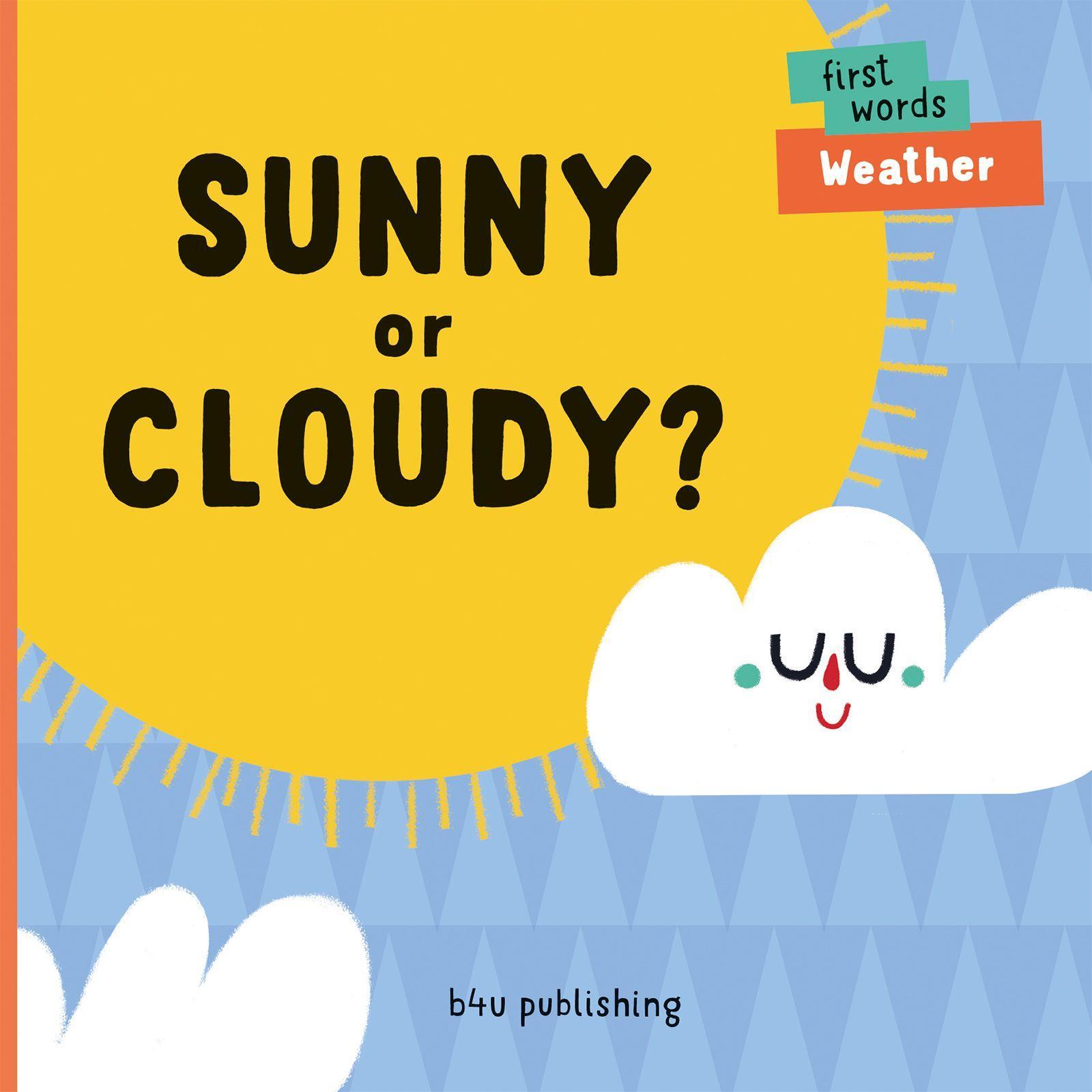 Buch Sunny or Cloudy? Lenka Chytilova