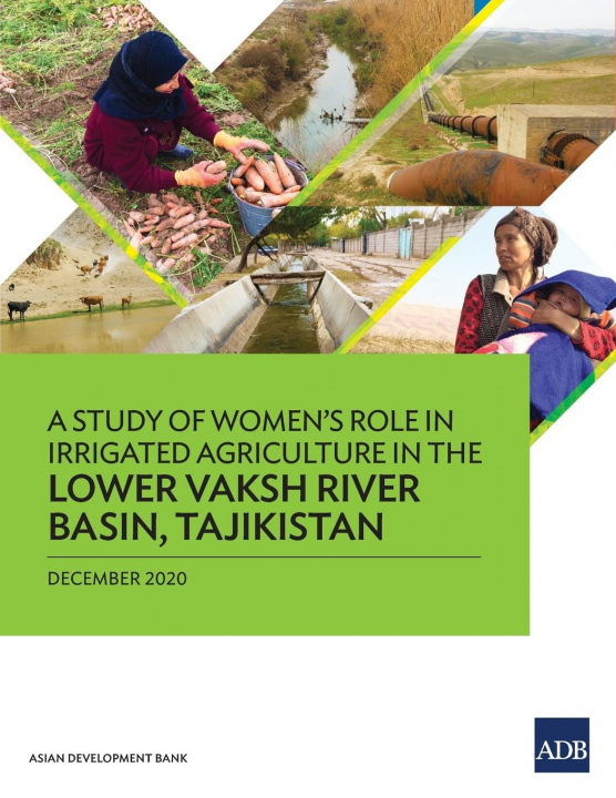 Könyv Study of Women's Role in Irrigated Agriculture in the Lower Vaksh River Basin, Tajikistan 