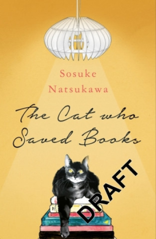 Könyv Cat Who Saved Books 