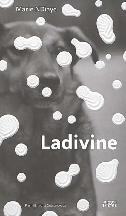 Książka Ladivine Marie NDiaye