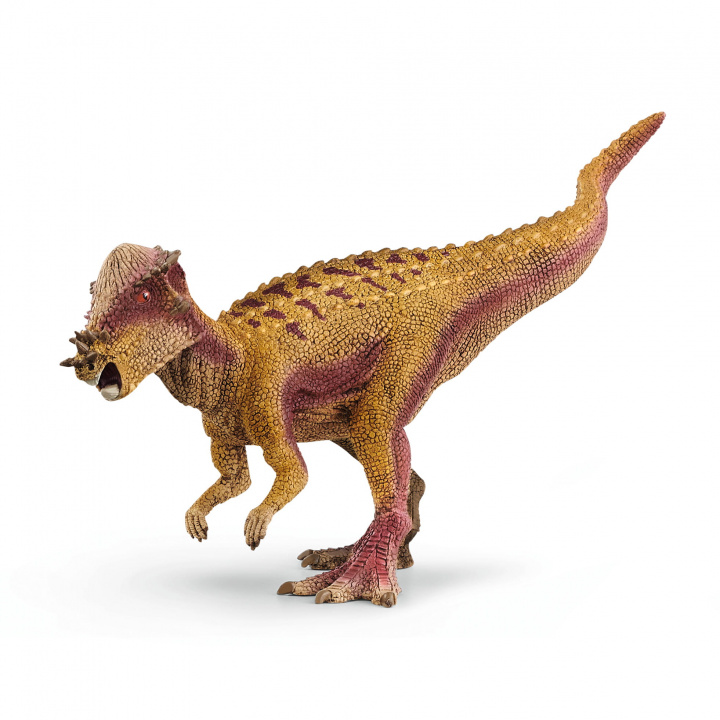 Knjiga Pachycephalosaurus SLH15024 