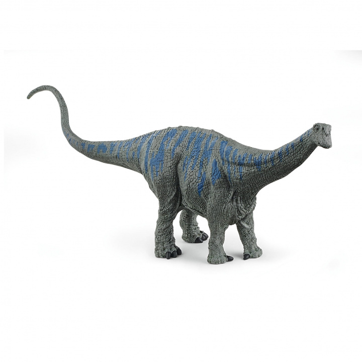 Kniha Brontosaurus SLH15027 